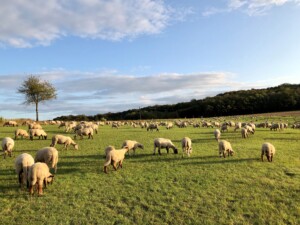Naturpark Bergisches Land © Jens Eichner