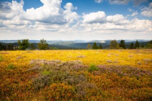 Naturpark Sauerland Kahler Asten © Tourismus NRW e.V.