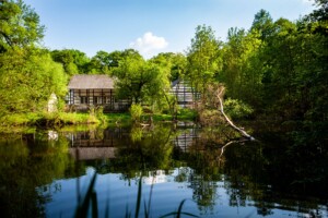 Naturpark Schwalm-Nette Wildenrath © Tourismus NRW e.V.