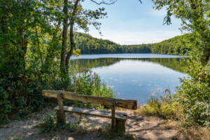 Villeseen im Naturpark Rheinland © iStock
