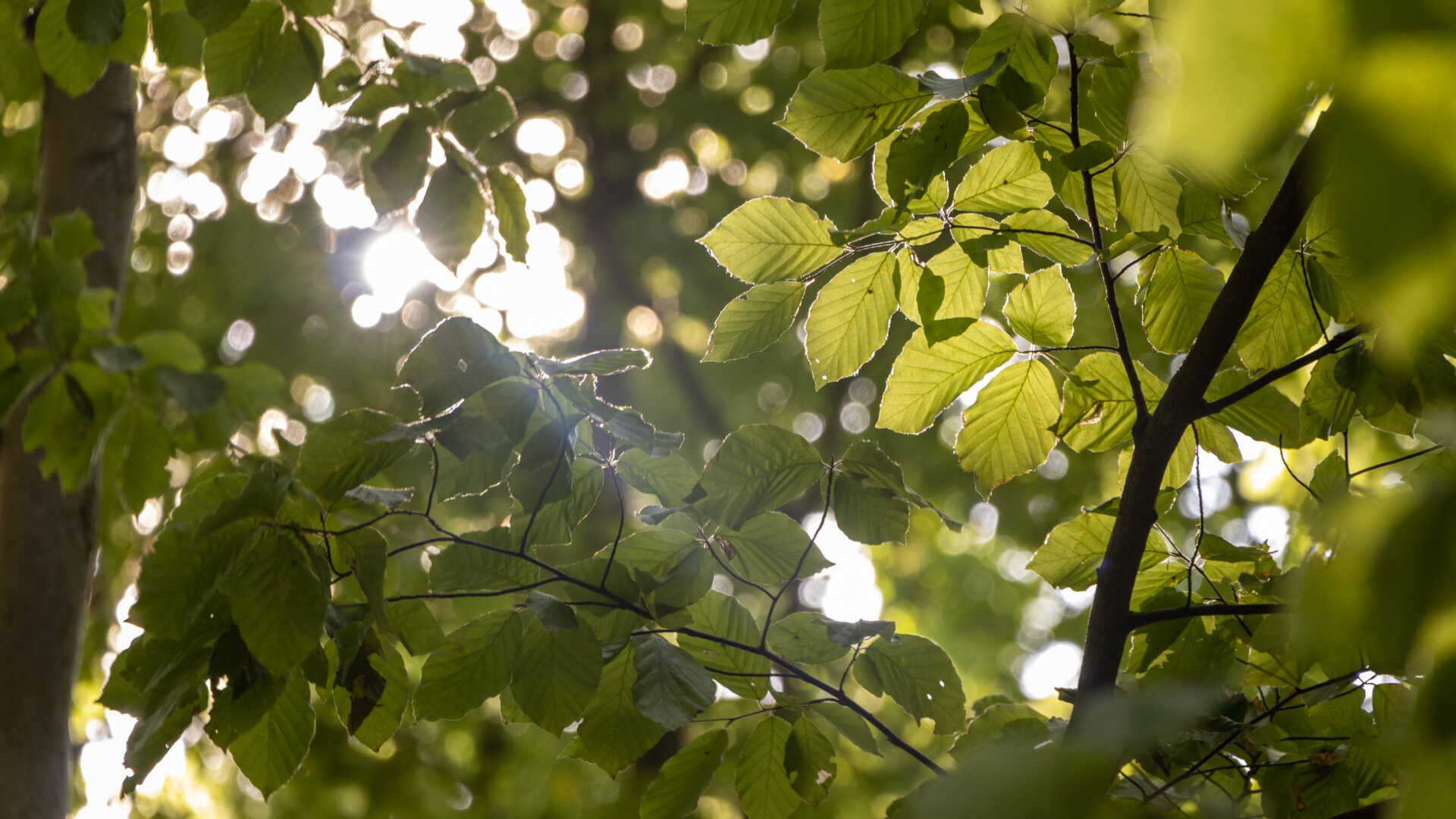 23.05.26_Teutoburger Wald Terra track von egge zu egge_Foto_TERRA.vita