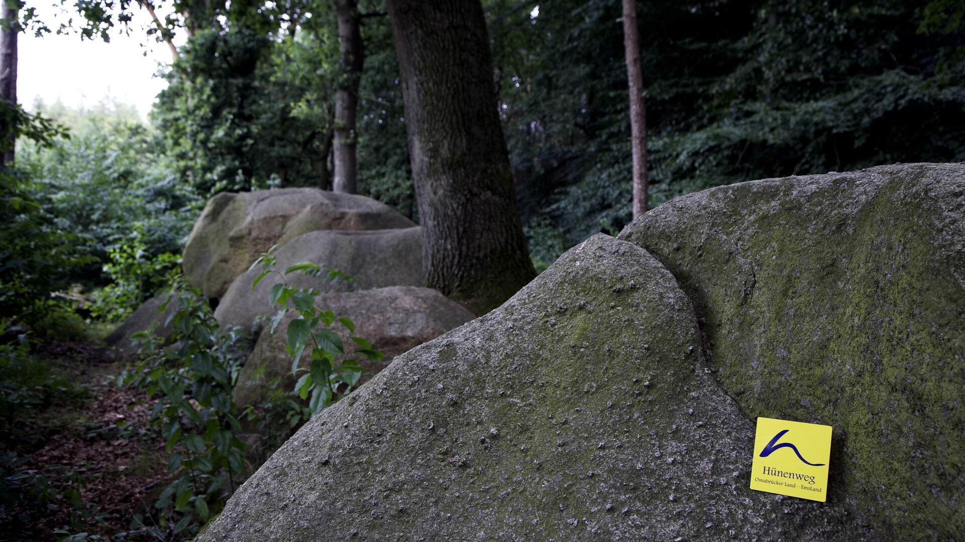 Auf allen Wegen spürt man Rom