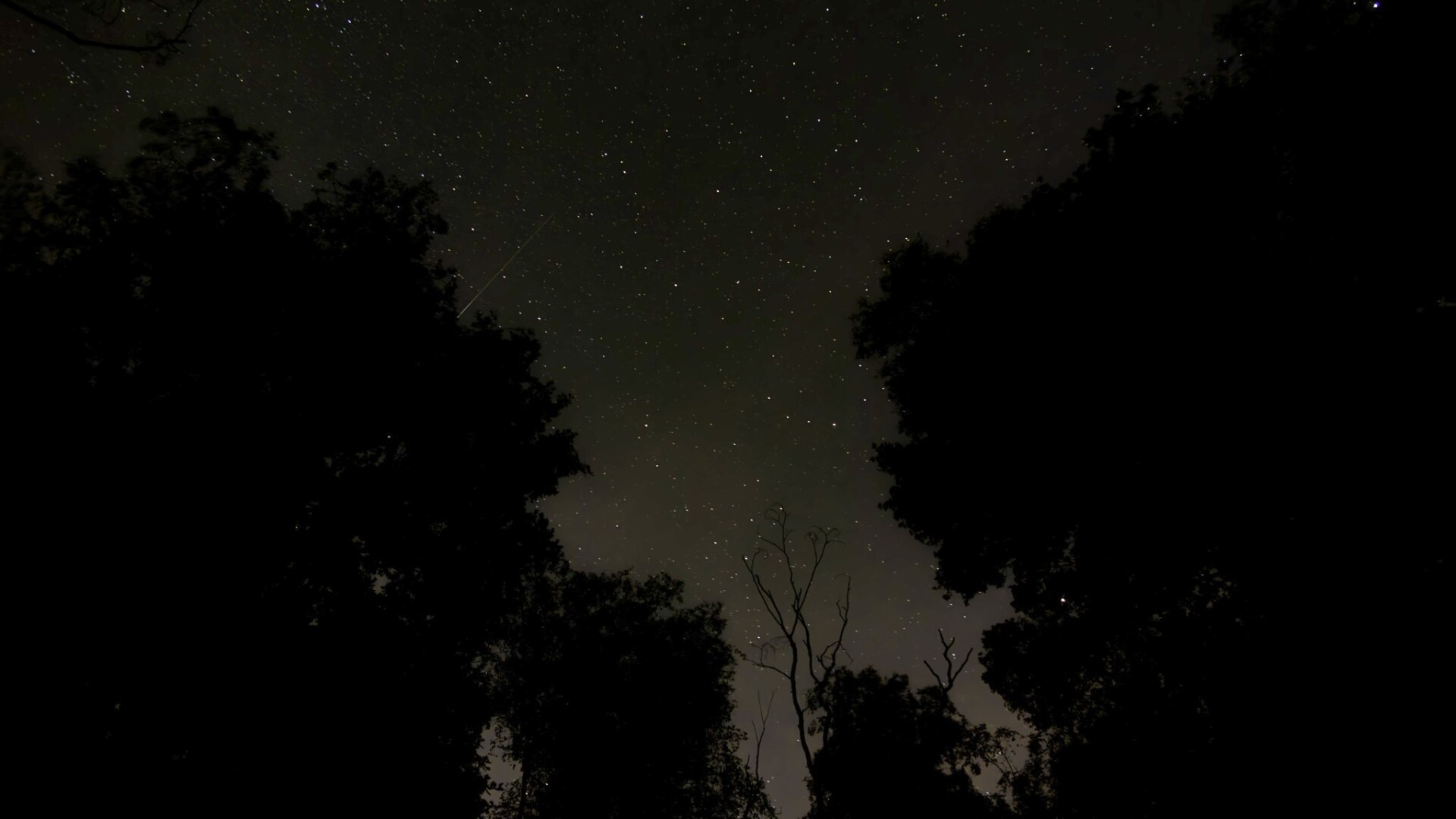 Nacht DH_Won Scharfe